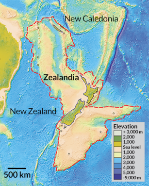 022217_ts_Zealandia_inline2_free.png