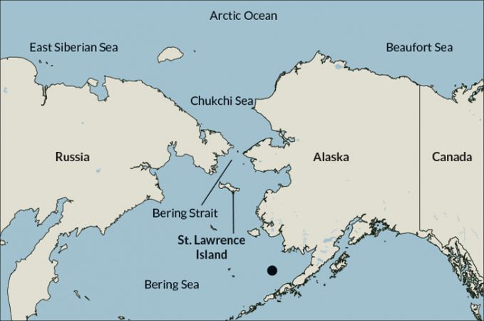 030219_arctic-sea_inline_1_map_730.jpg