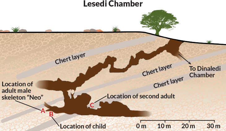 Homo naledi chamber map