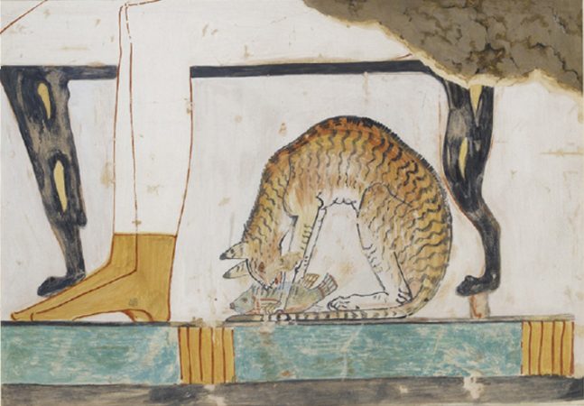 DNA tells tale of how cats conquered the world Science News for Students