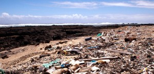 The ocean dumps literally tons of plastic trash on Hawaii’s Kamilo Beach each year. Credit: Amanda Rose Martinez