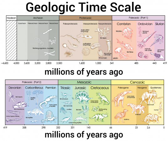 Dinosaur Time Periods Chart