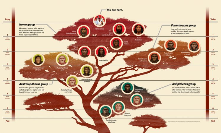 2 3 1_Family Tree 50_1000.jpg