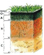 soil layers