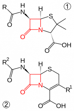 350-Beta-lactam_antibiotics_example.png