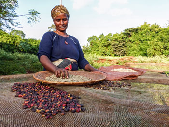 woman coffee beans