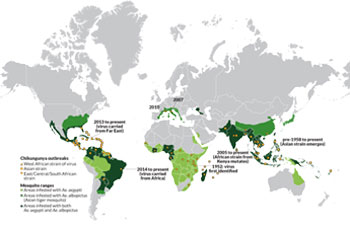 chikungunya map