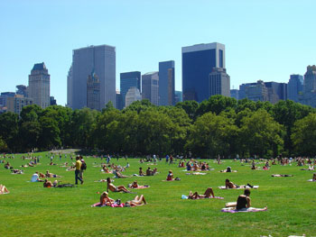 sunbathers