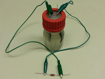 microbial battery