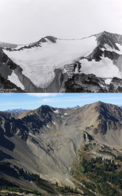 350_Lillian_glaciers.png