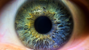 350_eye_iris_close_up.png