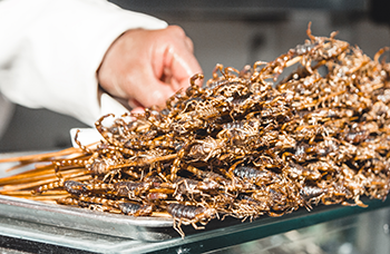 a pile of fried scorpions