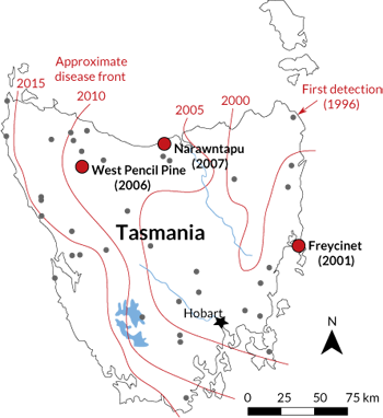 350_inline1_tasmanian_devil.png