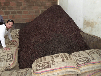 350_inline_cacaoharvest.gif