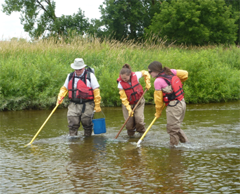 350_inline_collecting_fish.png