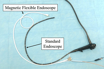 350_inline_flexibleendoscope.gif