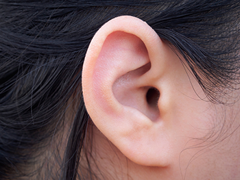 350_inline_human_ear.png