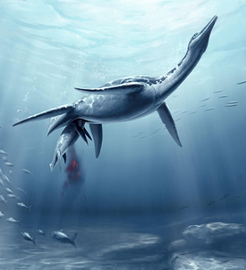 350_plesiosaur_baby_illustration.png