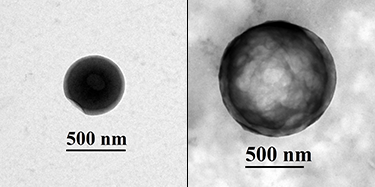 375_swelling-in-glucose.png