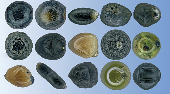 a photo of various micrometeorites