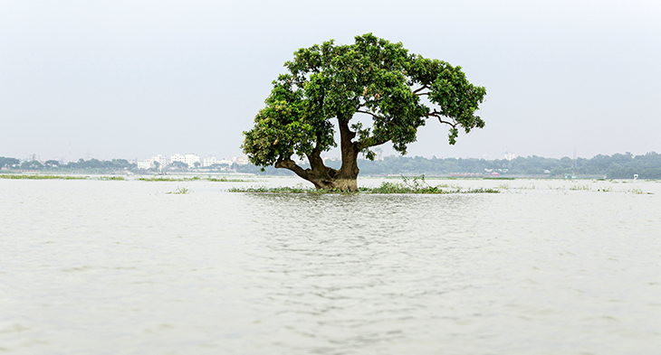 730_CCC10_flooded_field.png