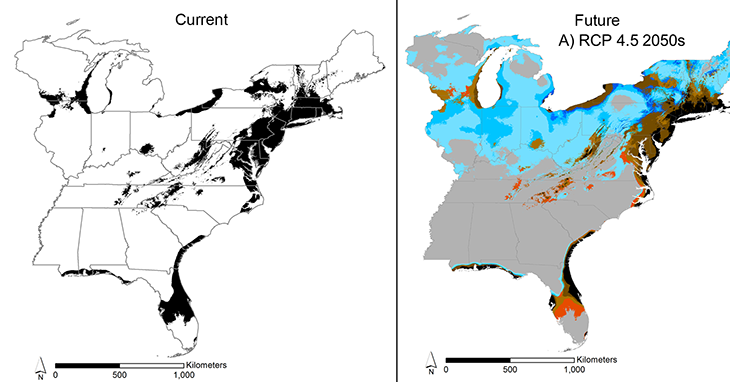 730_CCC9_ragweed_spread_north_america.png