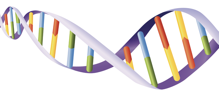 730_DNA_helix.png