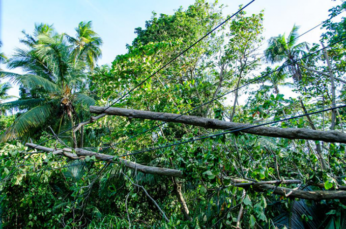 730_Irma_powerlines_Puerto_Rico.png