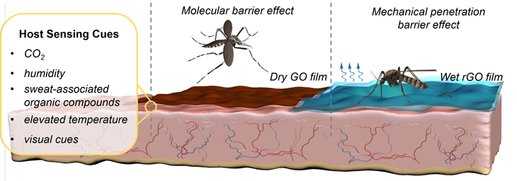 730_LEM-mosquitoes-graphene-2_SS.png