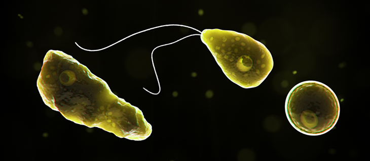 730_inline_Naegleria-fowleri.png