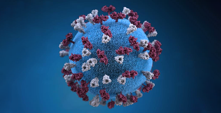 an illustration of a measles virus
