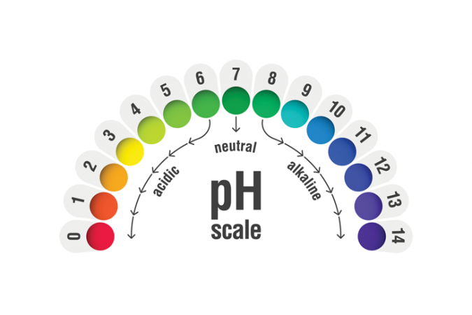 730_pH-scale.png