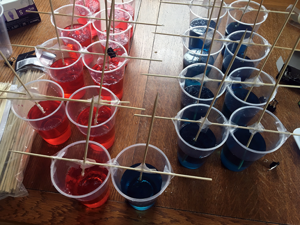 rock candy growth experiment set up