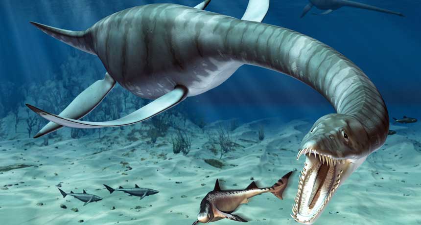 The Real Sea Monsters Science News For Students