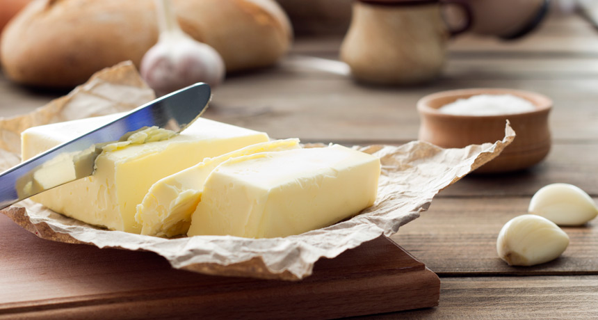 Scientists Say Saturated Fat Science News For Students