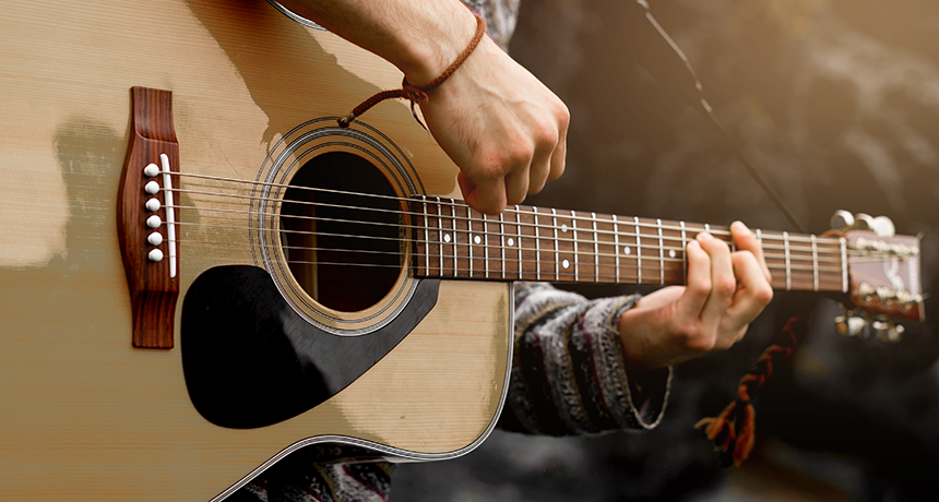 Analyze This: Do exotic woods make better guitars? | Science News for  Students