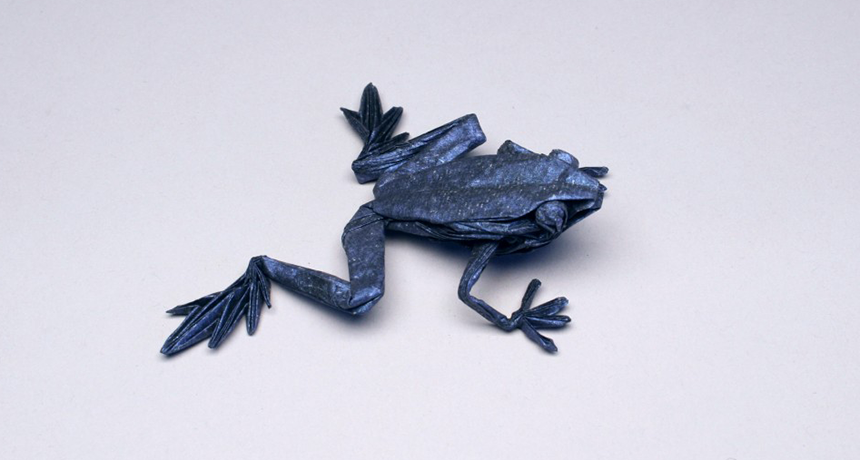 Cool Jobs The Art Of Paper Folding Is Inspiring Science