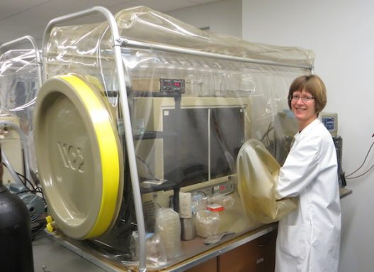 ary Hagen studies soil microbes