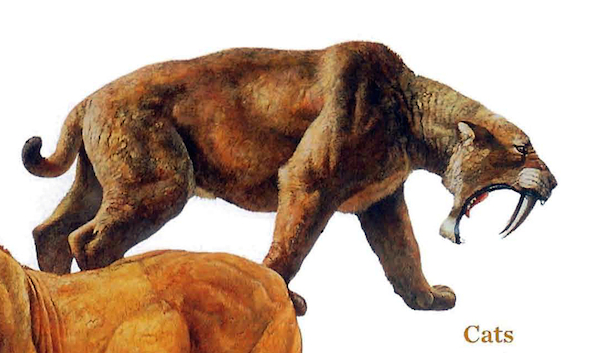 saber tooth cat