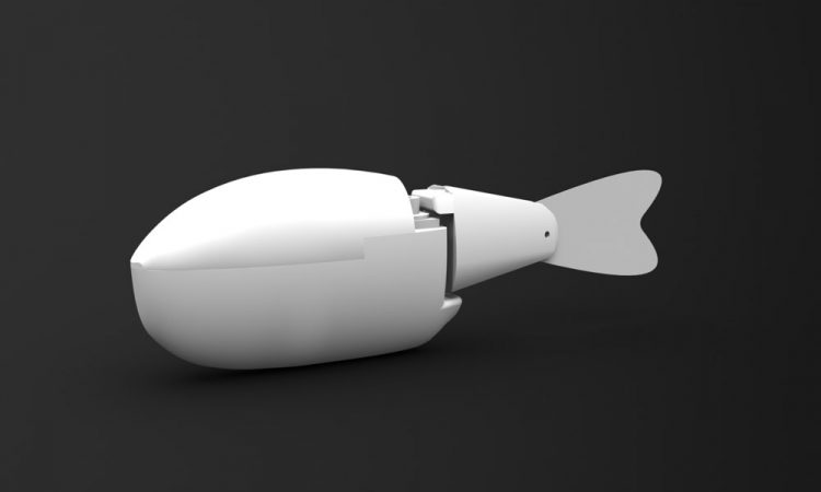 Robotic fish