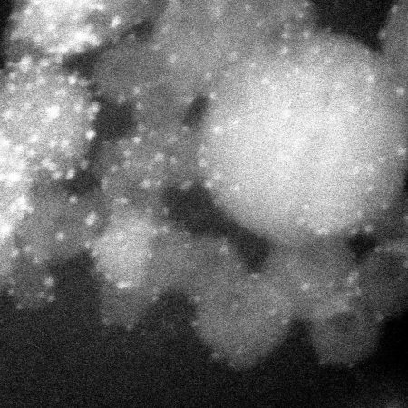 This germ-killing material is used to coat surfaces. The big blobs are calcium phosphate particles. Sprinkled on top of them — like salt on popcorn — are bits of silver. Credit: S. Lohar, et al. Small, Vol. 4, No. 6, 2008/Wiley