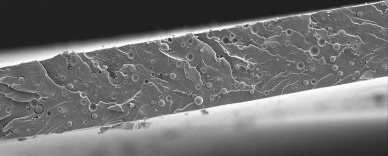 This electron micrograph shows a cross-section of a plastic (polyurethane)-based coating being developed for use in paints and other products. The round blobs are the added enzyme. Although blended throughout, only the enzyme at the surface “acts” to fight stains. Credit: S. Wu, et al. Biotechnology and Bioengineering, June 2013/Wiley