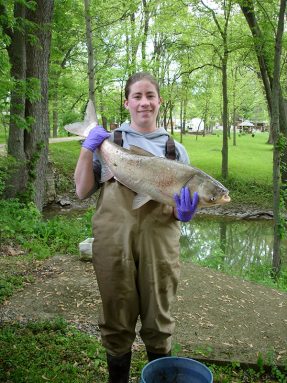 Alison Coulter has studied where Asian carp can reproduce. Here, she’s holding a silver carp. Credit: M. Gunn