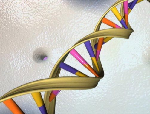 A DNA molecule looks like a twisted ladder. Scientists have found a way to use the rungs of that ladder to store data efficiently. Credit: NHGRI