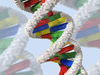 DNA lego