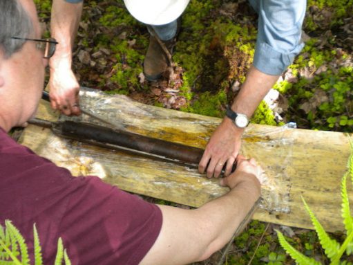 Measuring decomposed leaves, wood and other organic materials