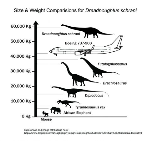 A comparison of the new dino’s size