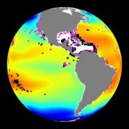 Blue patches indicate parts of the ocean that are more acidic than the yellow and red areas. Stars show coral reefs, which can lose their skeletons in more acidic water.