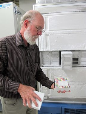 Texas Tech University biologist Robert Bradley pulls from the freezer tissue samples from rodents collected over five decades. Each color-coded tube represents a different organ. Orange is spleen, green is liver, white is lung, red is heart and kidney, and yellow is muscle. Credit: Sharon Oosthoek