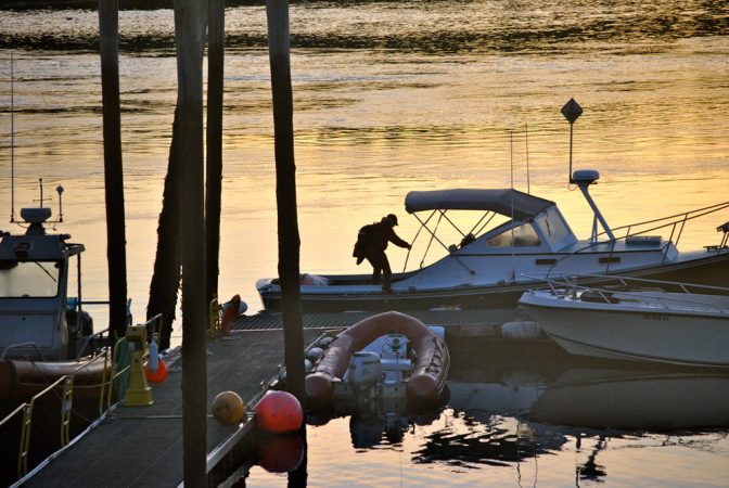 Moira “Moe” Brown boards the R/V Nereid at the dock in Lubec, Maine, at 6:00 a.m. in preparation for a long day of looking for right whales. Credit: Eric Wagner